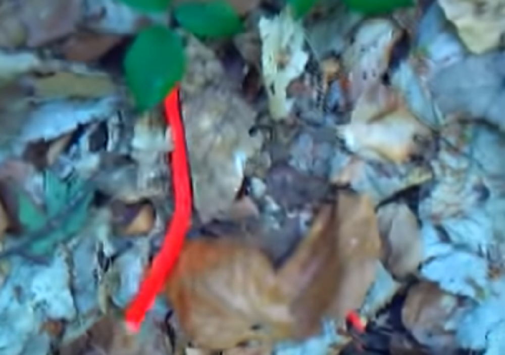 Crvena boja ukazuje samo na jedno, meštani u strahu (VIDEO)