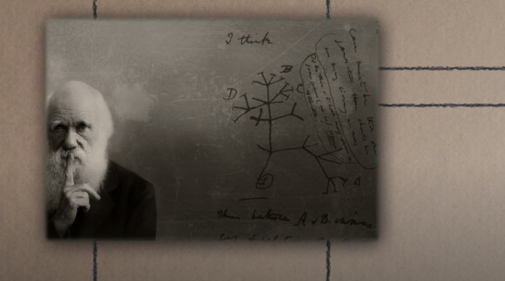 Britanski Prirodnjački muzej razmatra mogućnost da ukloni neke eksponate koji mogu biti ocenjeni kao rasno uvredljivi