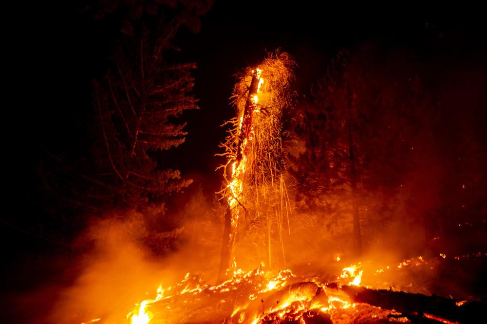 Novi požar u Bejrutu i to usred trgovačke četvrti