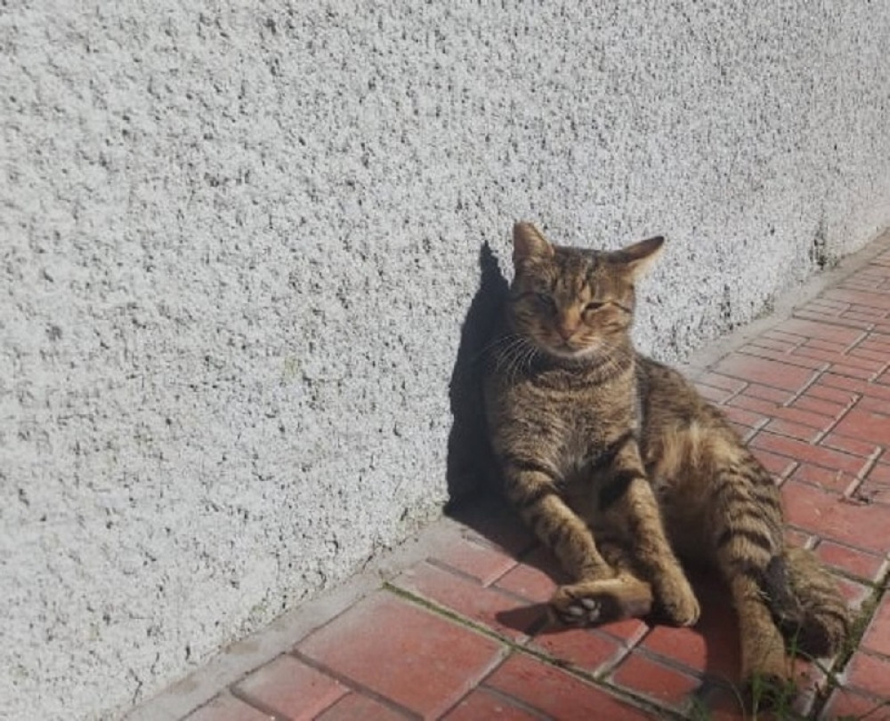 Izbacili ga iz stana, a kada su videli šta je unutra ostali su u šoku!
