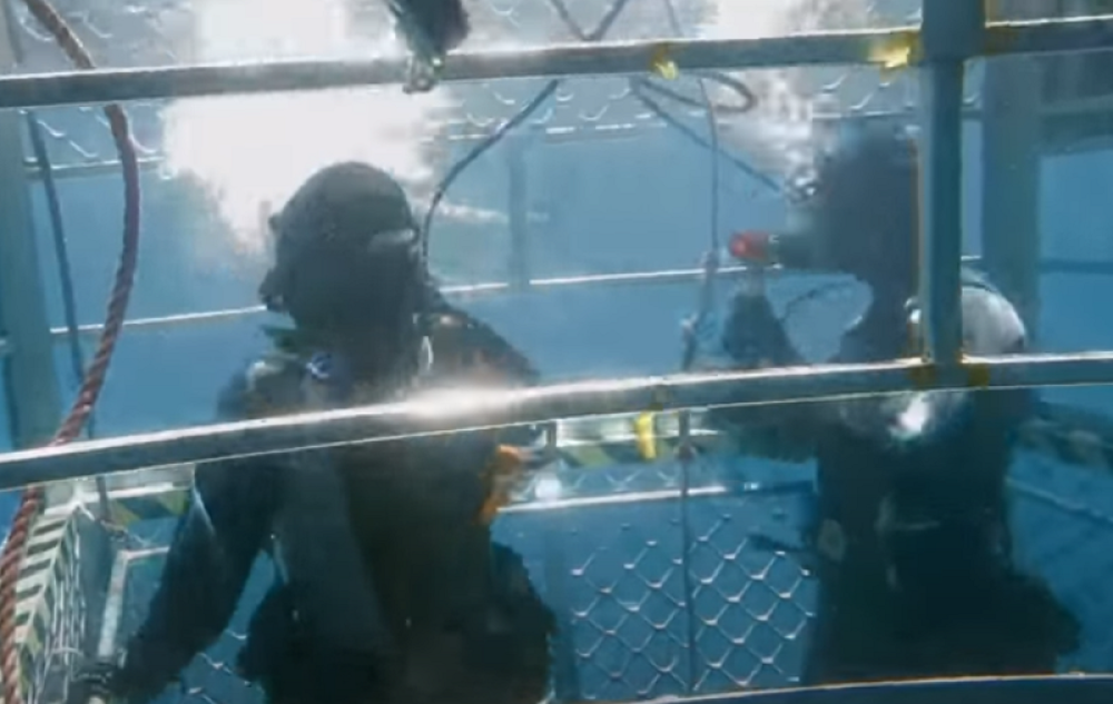 "Ne možemo da verujemo šta rade"