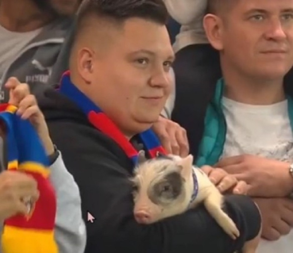 Hit na tribinama: Gradski derbi obeležili navijači - i to kako! (FOTO)