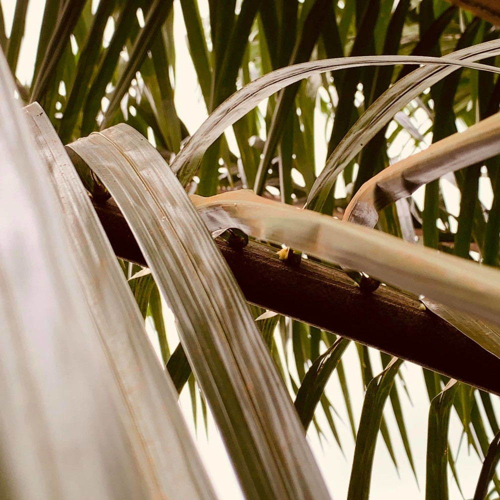 Pronašao u šumi izgubljeni telefon, a onda je pogledao slike u njemu! Zanemeo je kada je video ko je pravio selfije i koliko su dobre! (FOTO)