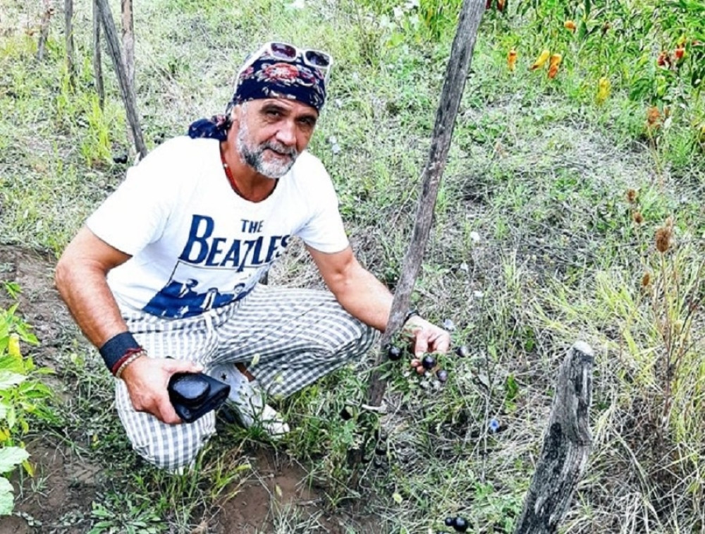 U Šumadiji nikao crni paradajz, niko ne sme da ga proba (FOTO)