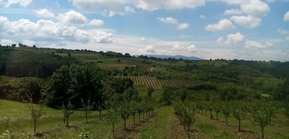 Narednih 10 godina niko ne sme da živi u njemu!