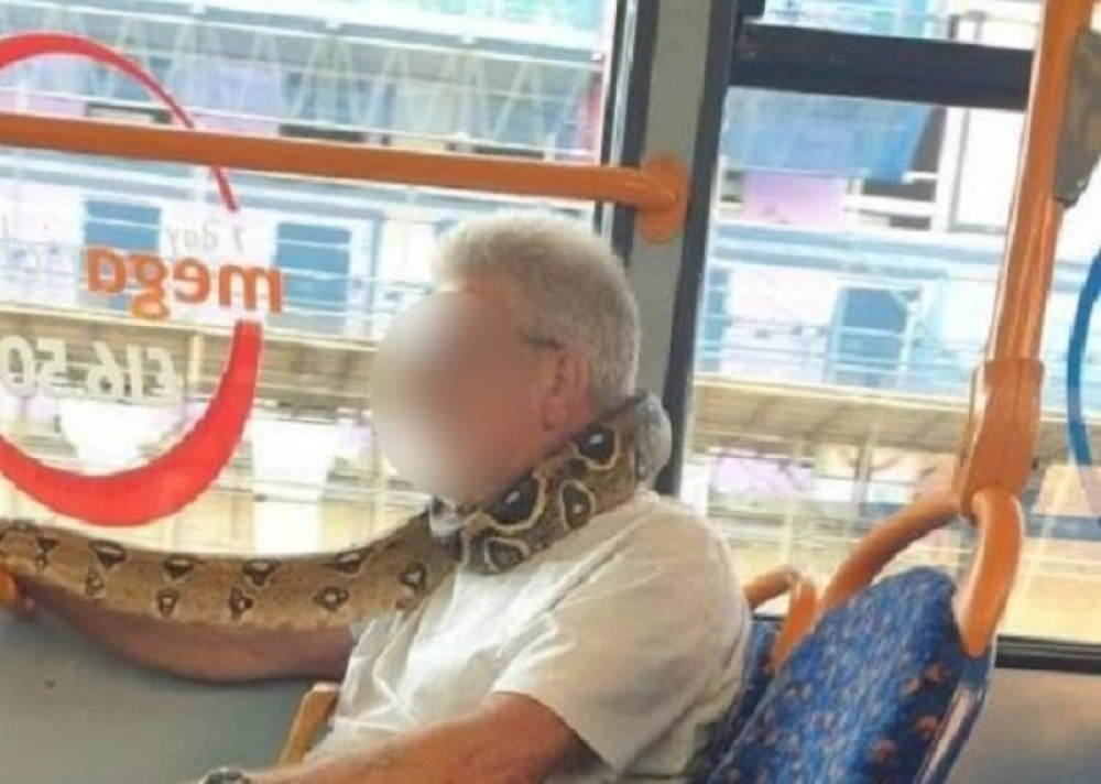 Muškarac ušao u gradski prevoz, svi mislili da nosi masku, a onda je zmija počela da se pomera