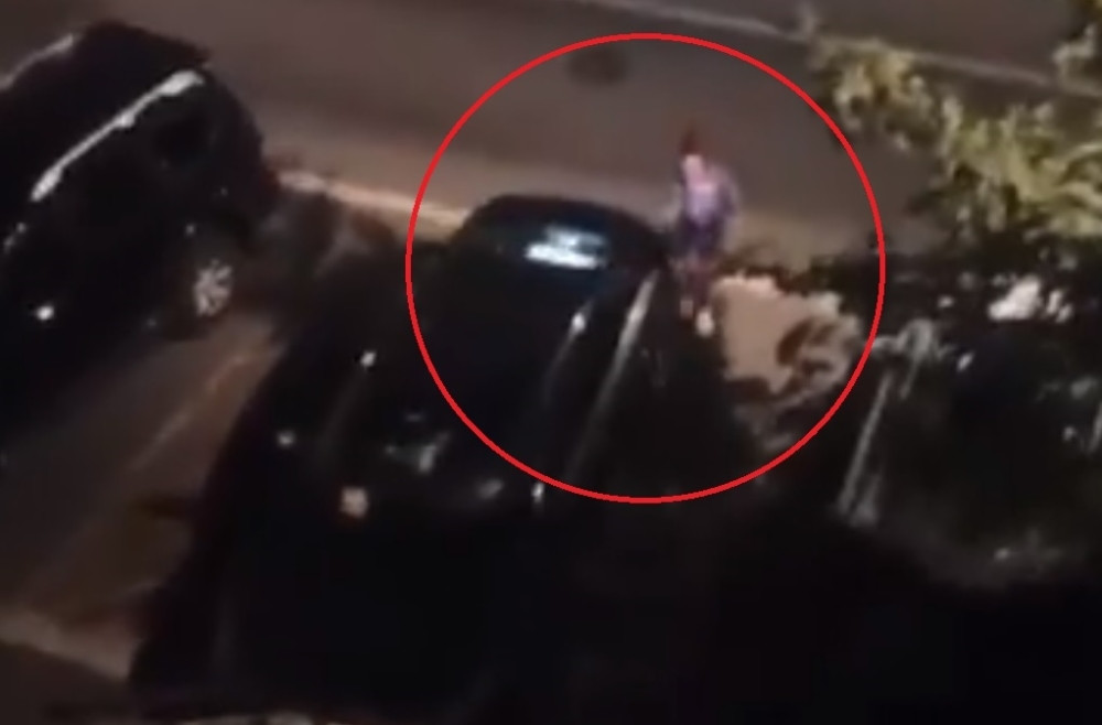 Isplivao NOVI SNIMAK Ljupke Stević kako razbija skupoceni automobil ciglom!