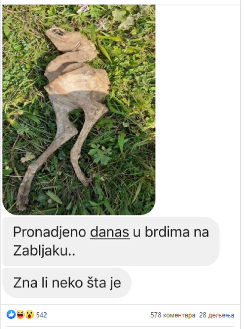 U Crnoj Gori fotografisan jezivi skelet