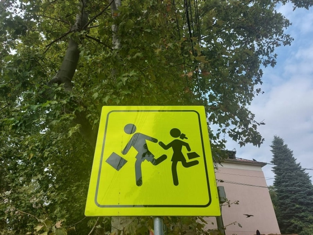 Kolaps nadzemnog pešačkog prelaza, 51 osoba povređena