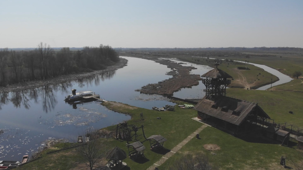 Jedino na ovom mestu Srbiji u žive dabrovi! Zaštićena su vrsta, a kazne za njihovo ugrožavanje su paprene