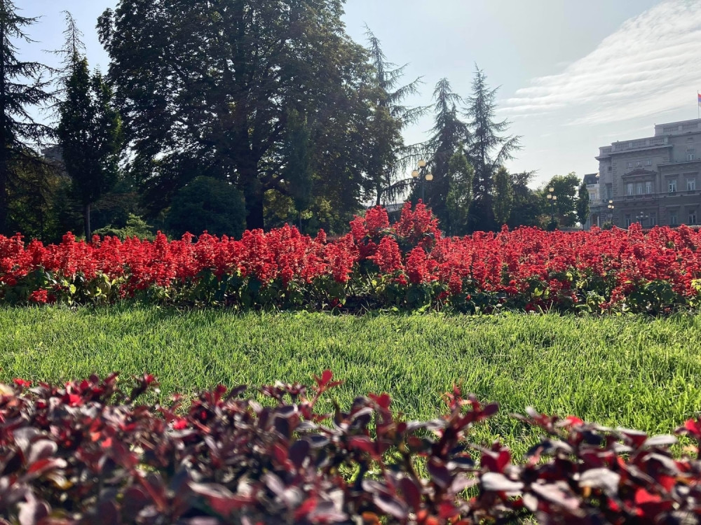Šareno vreme tokom nedelje, a u subotu na pojedinim mestima i sneg