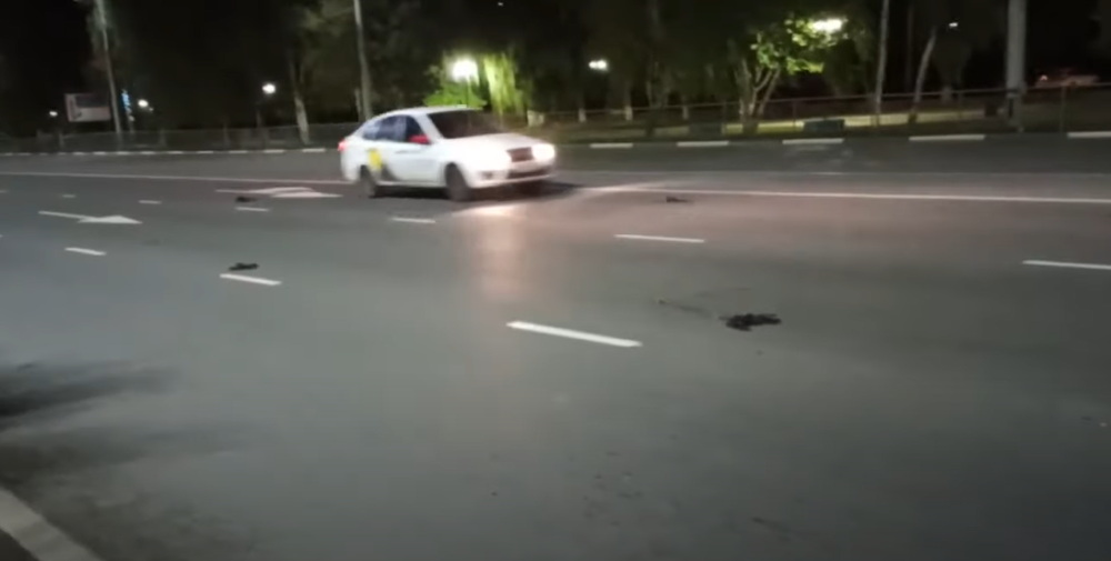 Ptice padaju mrtve s neba, da li je novi Černobilj ili je 5G mreža?! Do sada postoje DVE teorije (VIDEO)