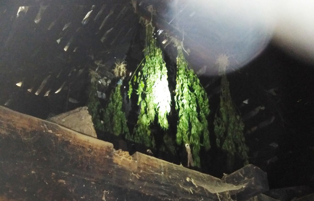 Kada je policija videla šta mladić krije na tavanu, odmah su ga uhapsili