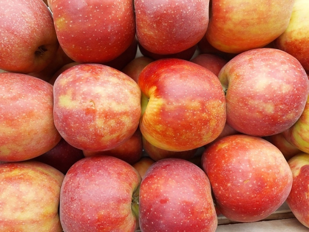 U Beču pronađena jabuka stara 4.000 godina, potpuno različita od onih koje danas jedemo