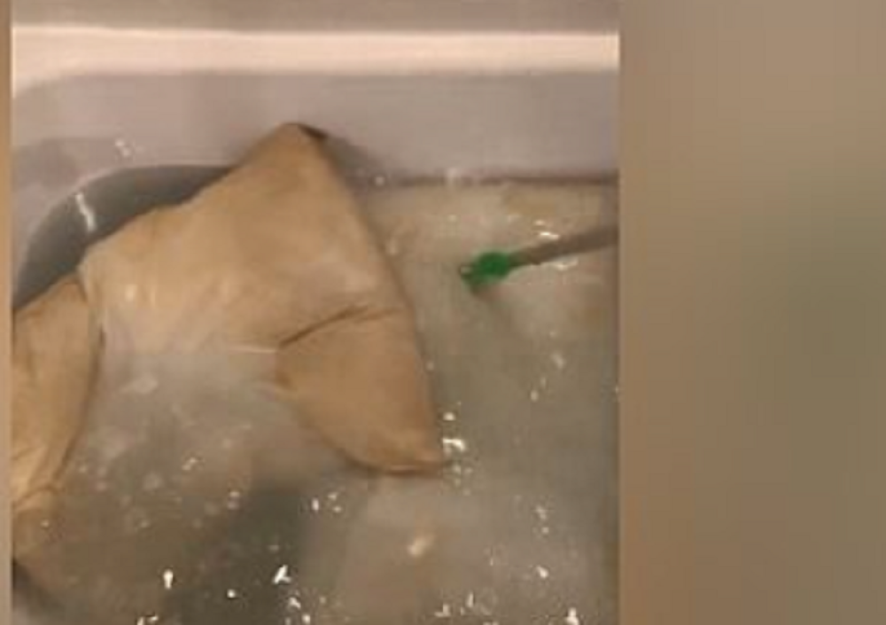 Oprala je jastuk nakon 10 godina i podelila na internetu, a rezultat je sve zgrozio (VIDEO)