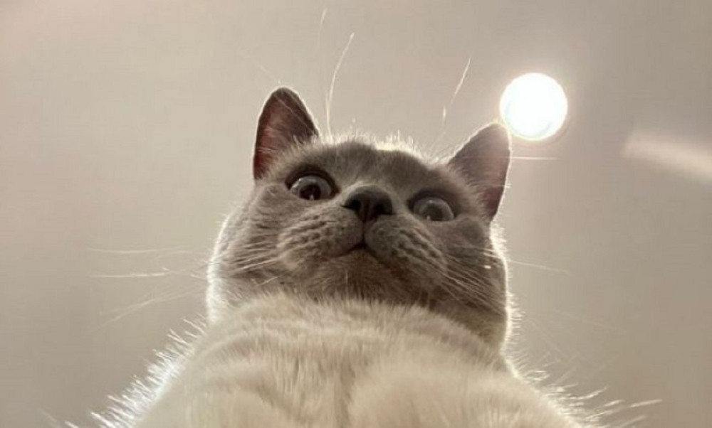 Vlasnik zaboravio da zaključa telefon, i sada svi dele njegove fotke (FOTO)