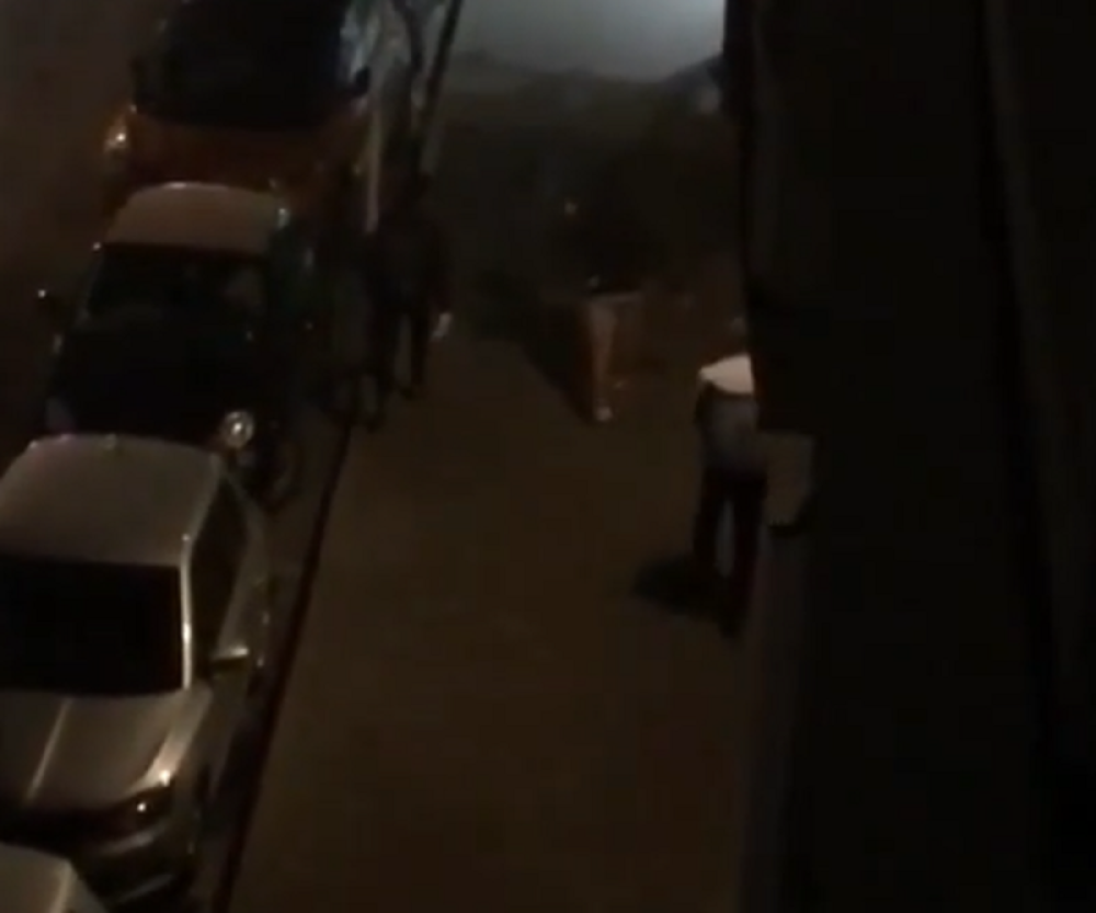 Uhapšena dva vandala iz Novog Sada, za još jednim policija intenzivno traga (VIDEO)