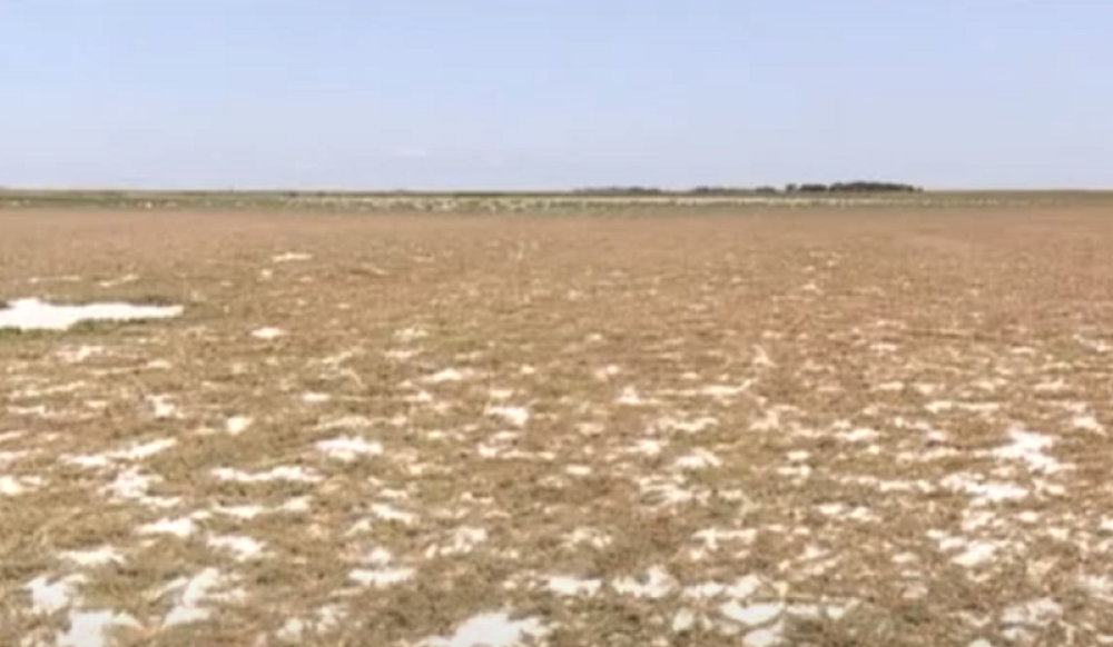 U požaru u "Slanom Kopovu" vatra progutala više od 300 hektara zemlje!