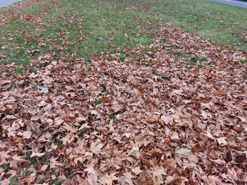 Sutra umereno oblačno, a visina temperature će vas iznenaditi