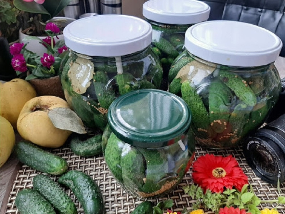 Evo kako možete spremiti krastavčiće sa jabukovim sirćetom na zdrav način