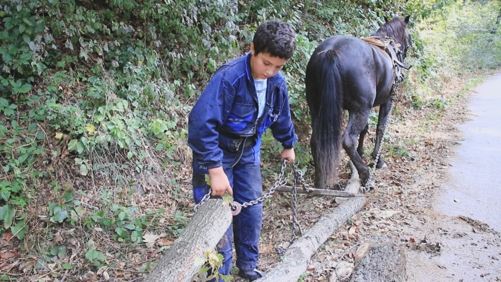 Ratko je najmlađi drvoseča u Srbiji, ali nigde ne ide bez vernog prijatelja! Meštani imaju samo reči hvale (FOTO/VIDEO)