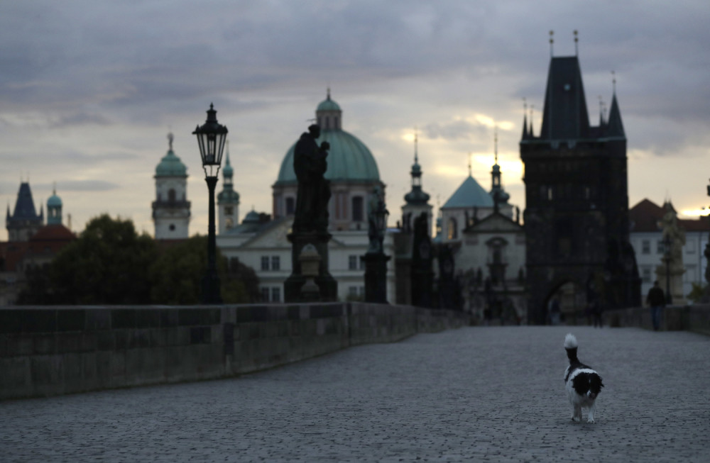 "U toku je prva faza!"