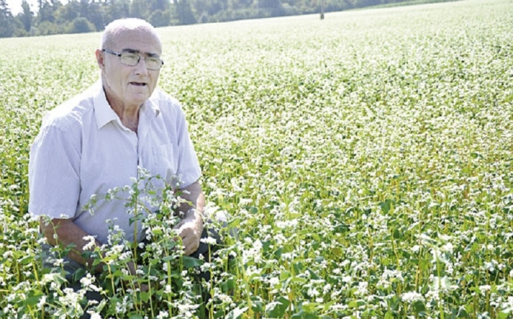 Ova žitaricu blokira razvoj ćelija raka!