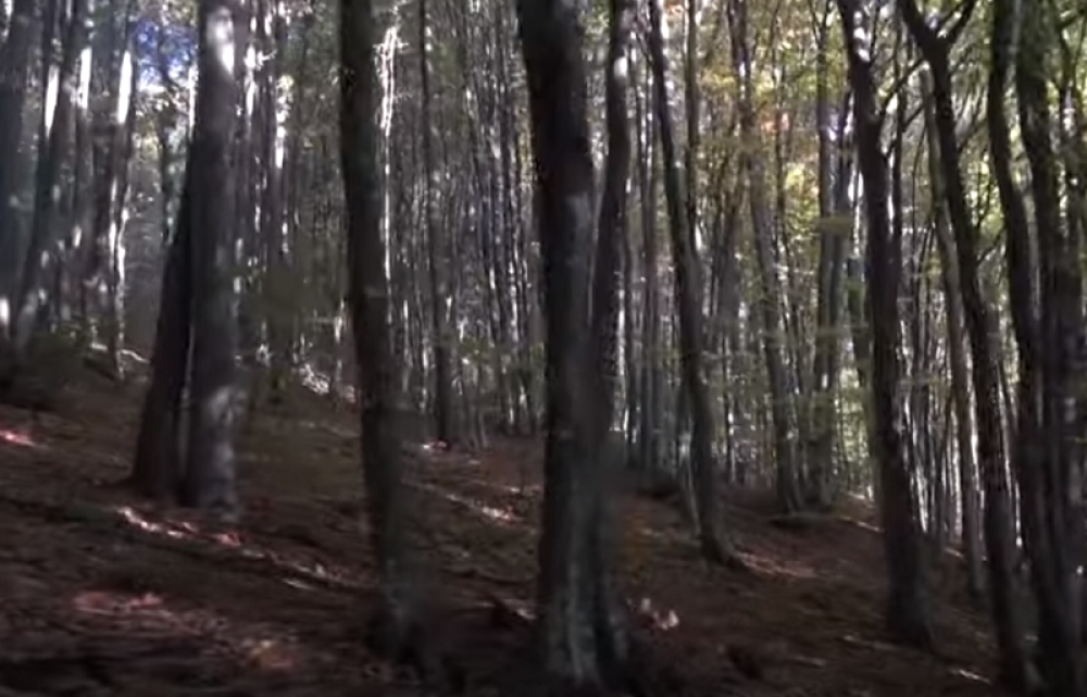 Njegova pojava u selima podno planine Jelice uteruje im strah u kosti!