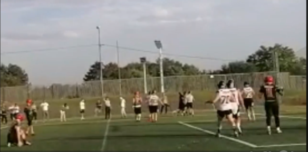 Trener uleteo na teren i udaranjem rivala sprečio poraz svog tima (FOTO, VIDEO)