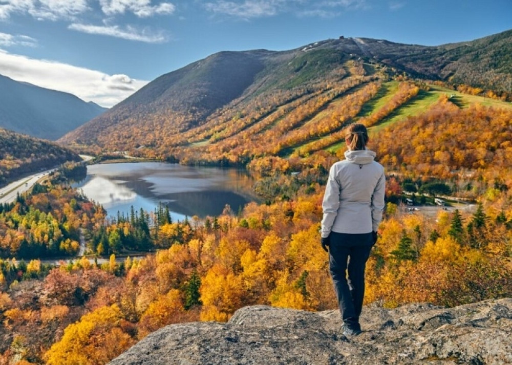 Ovnovi u haosu, Device na izmaku snage, Strelce očekuje prijatno iznenađenje
