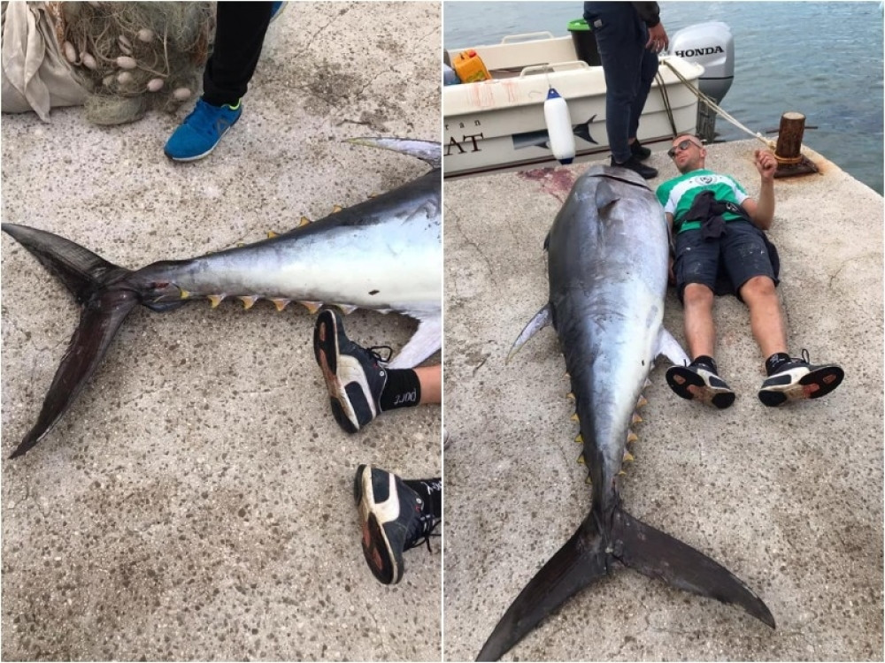 Ribari u Budvi izvukli pravu MORSKU NEMAN dugačku skoro DVA METRA! (FOTO)