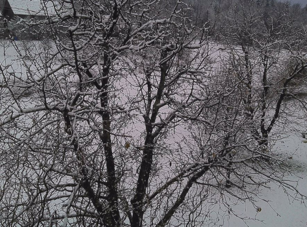 Sloveniju zavejao sneg, pojedina mesta ostala bez struje, saobraćaj obustavljen