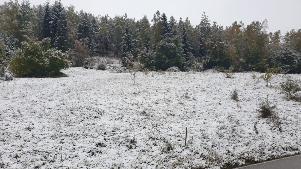 Mitrovdan - praznik koji određuje kakva će nam biti zima: Meteorolozi otkrili kada nas čeka sneg