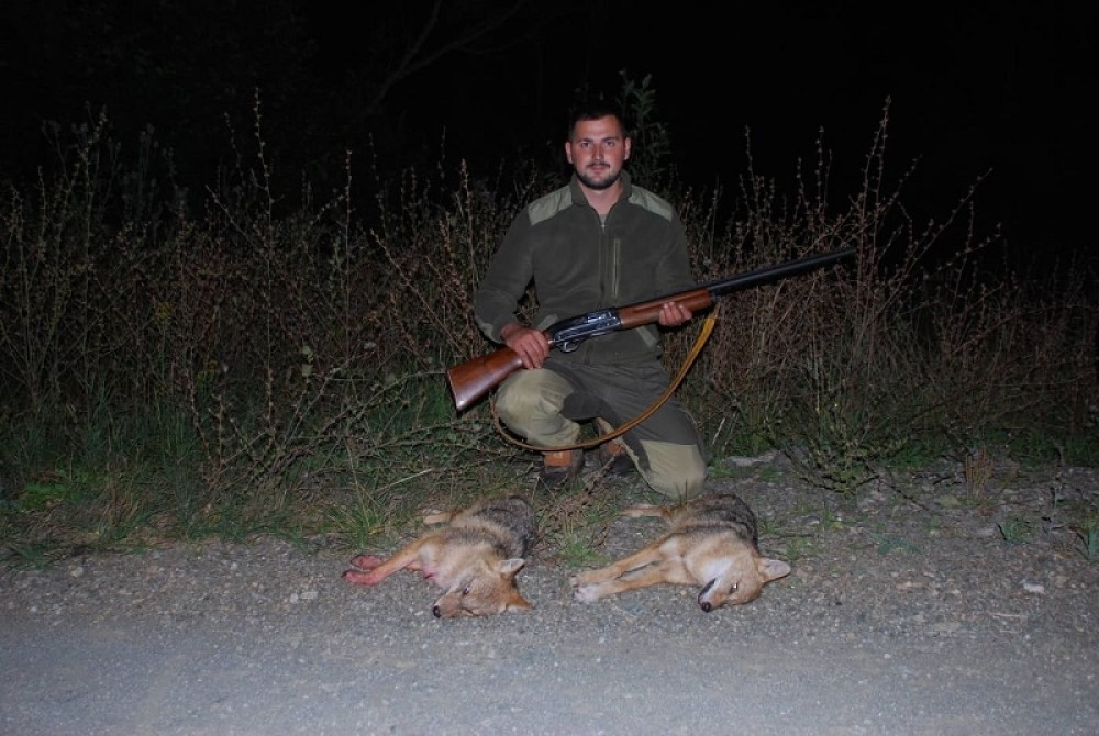 Milan na Zaovinama odstrelio dva šakala: Predatori napadali ovce, srne i zečeve (FOTO)