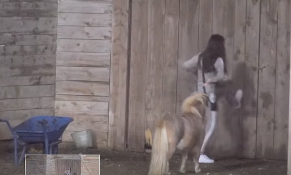 Doživela nervni slom, pa pokušala da razvali vrata (VIDEO)