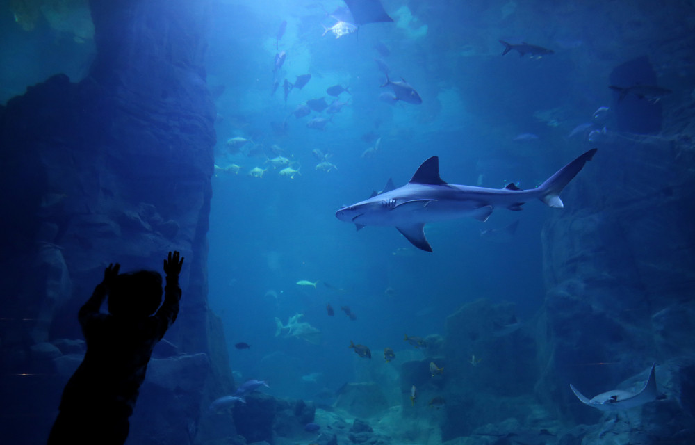 Snimao je sa obale, a onda se pred njihovim očima odigrala surova prirodna pojava! (VIDEO)