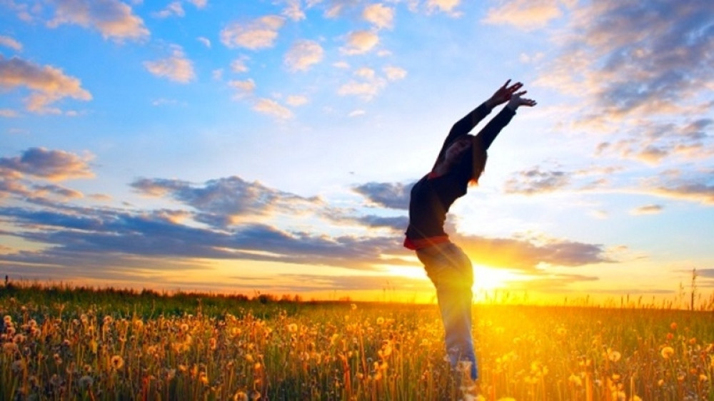 Vaga preduzimljiva, Bik uživa u samoći, a vi