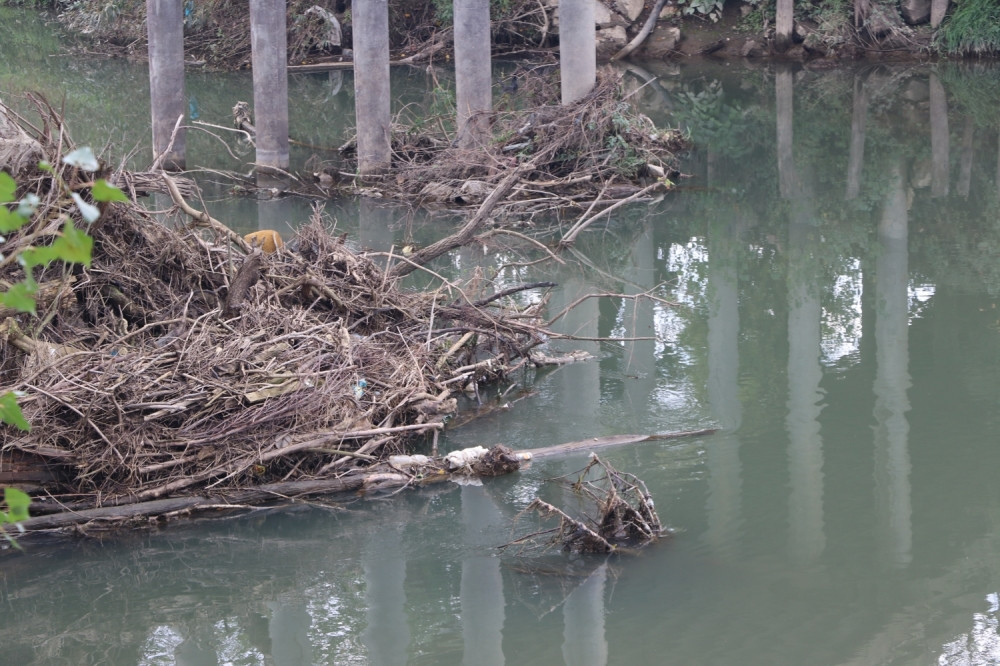Pronađeno telo žene u Zapadnoj Moravi, kod sebe imala mobilni telefon (FOTO)