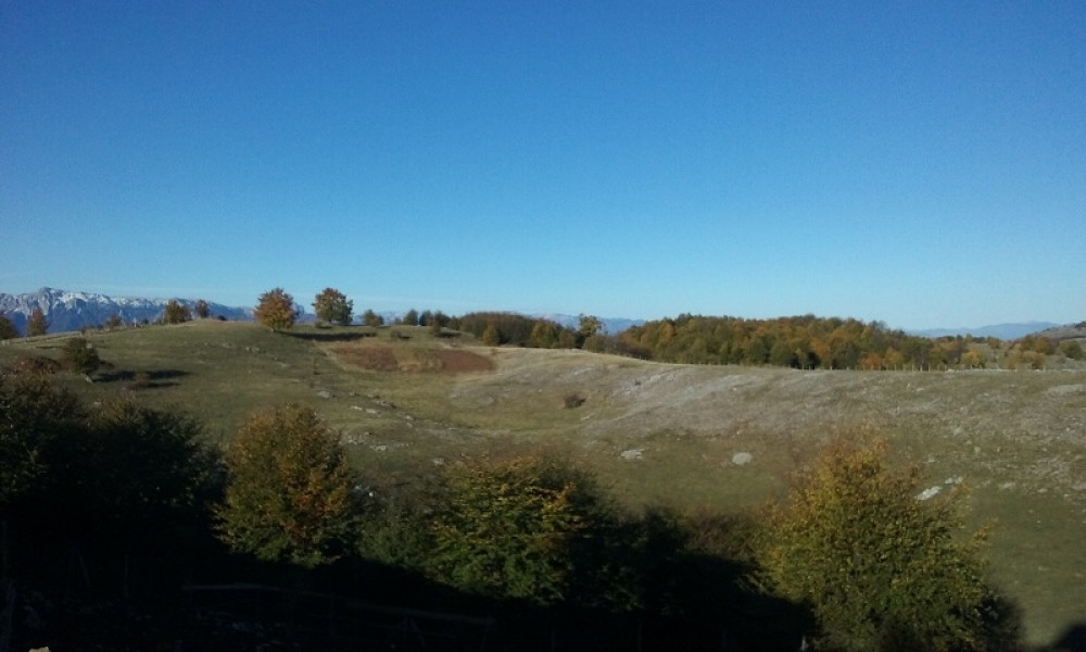 Nalog za obdukciju i DNK test skeletnih ostataka pronađenih na Bjelašnici očekuje se u ponedeljak