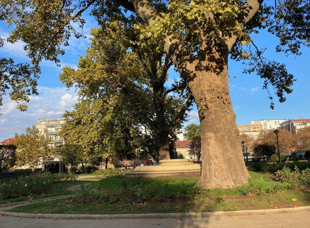 Utoplite se rano ujutru, a raskomotite popodne, na pojedinim mestima MRAZ
