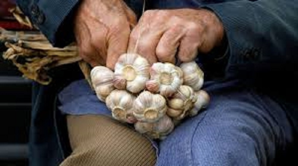 Ova vrsta belog luka je najzdravija, a jednu ne bi trebalo nikad da kupite