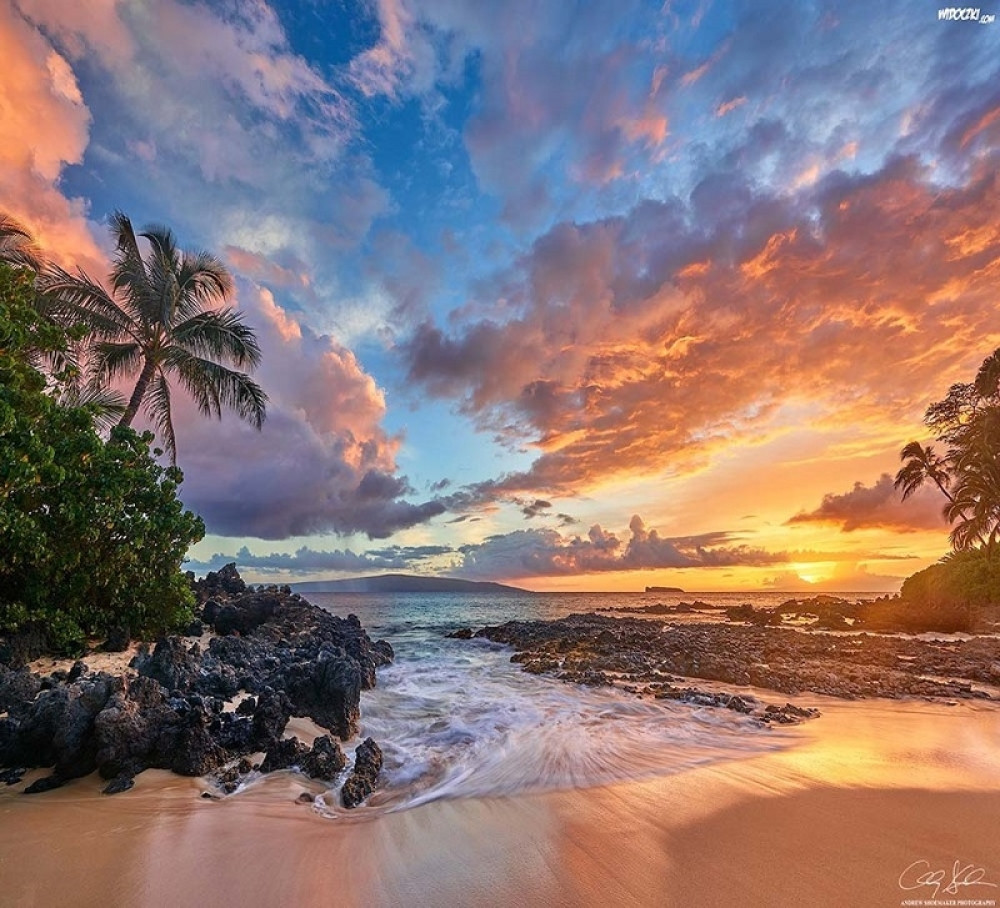 Raka ambicija gura napred, Vaga puni džepove, a vi