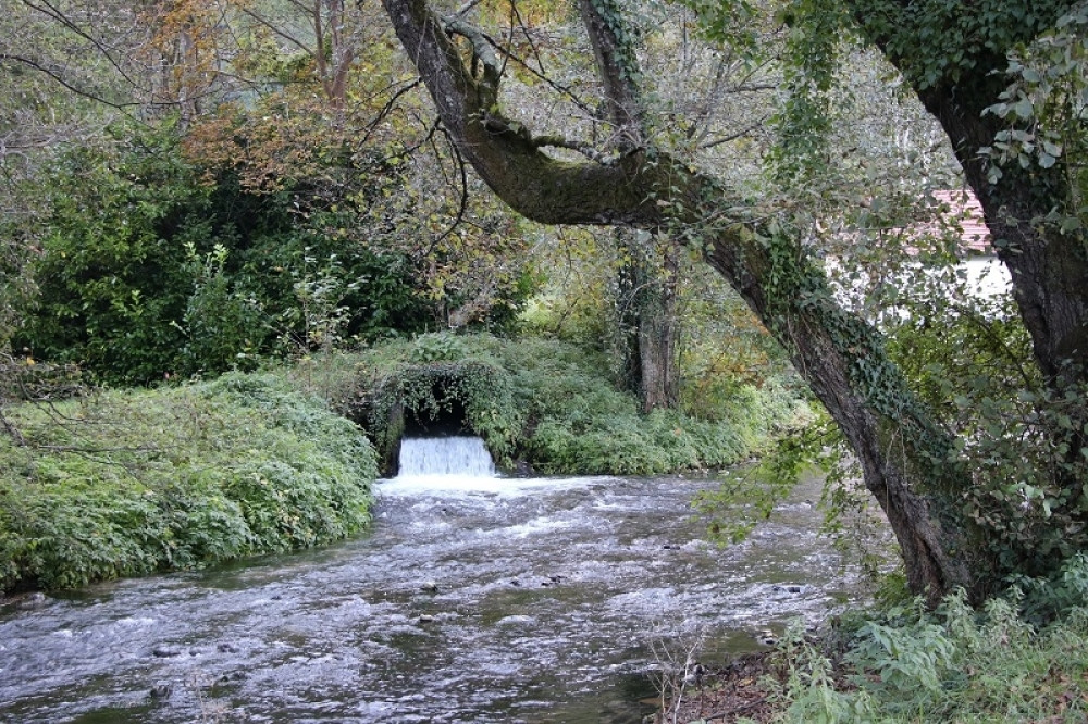 Zbog svoje dužine dobila je novo ime (FOTO)