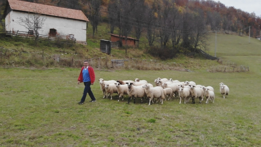 Ivko iz ariljskog sela je zatekao užasan prizor, meštani strahuju za decu