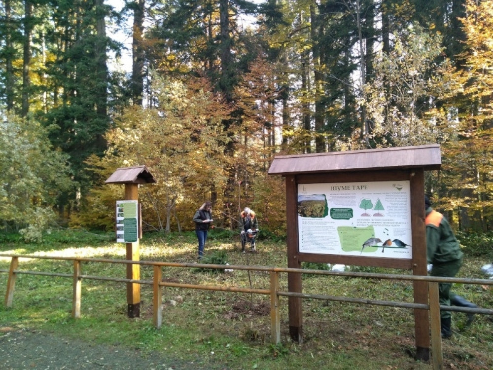 Akcija sadnje autohtonih vrsta drveća u nacionalnom parku