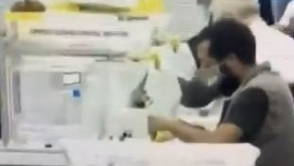 Da li je ovo model za Bajdenovu pobedu? (VIDEO)