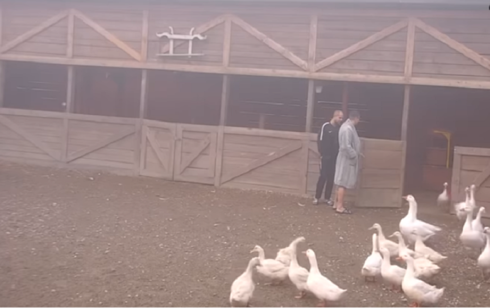 Kristijan nije mogao da poveruje čega se Mišel plaši, ovaj poskočio (VIDEO)