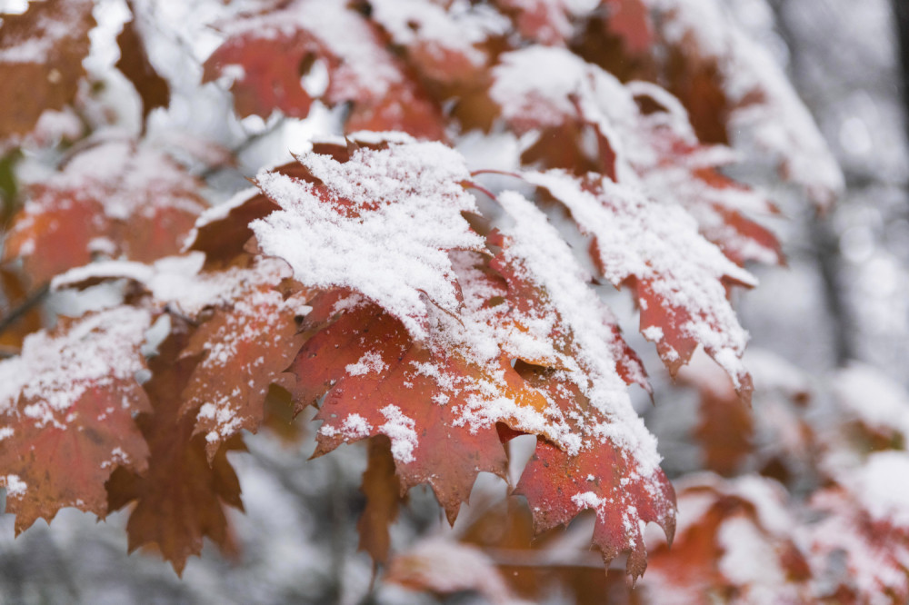 Pada sneg na severu Crne Gore