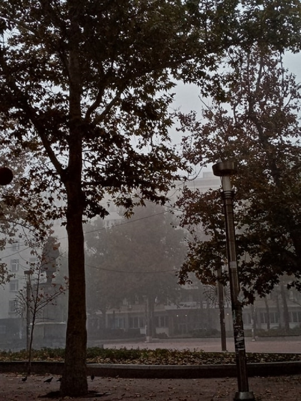 Poslednji trzaji jeseni, sledi topli zagrljaj pred zimu