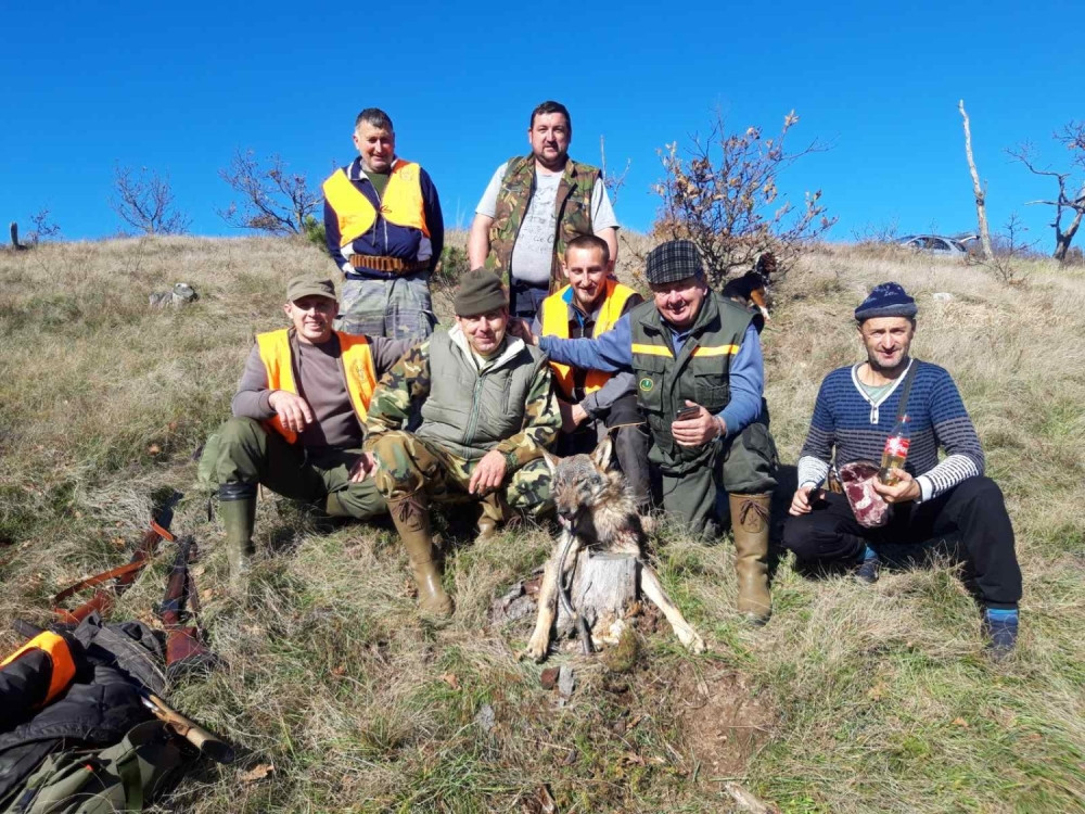 Pao vuk na Suvoboru, težak oko 30 kilograma: Mladi lovac uspeo da ga odstreli sa 40 metara udaljenosti (FOTO)